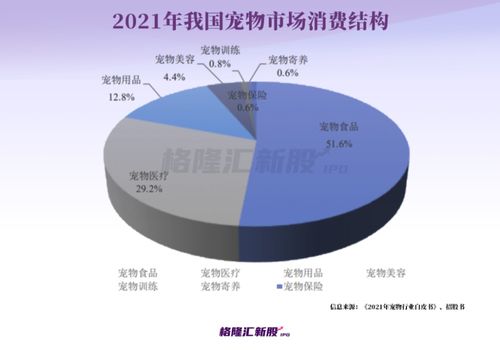 從寵物糧賽道到創業孵化 一位70后上海企業家的雙軌征途